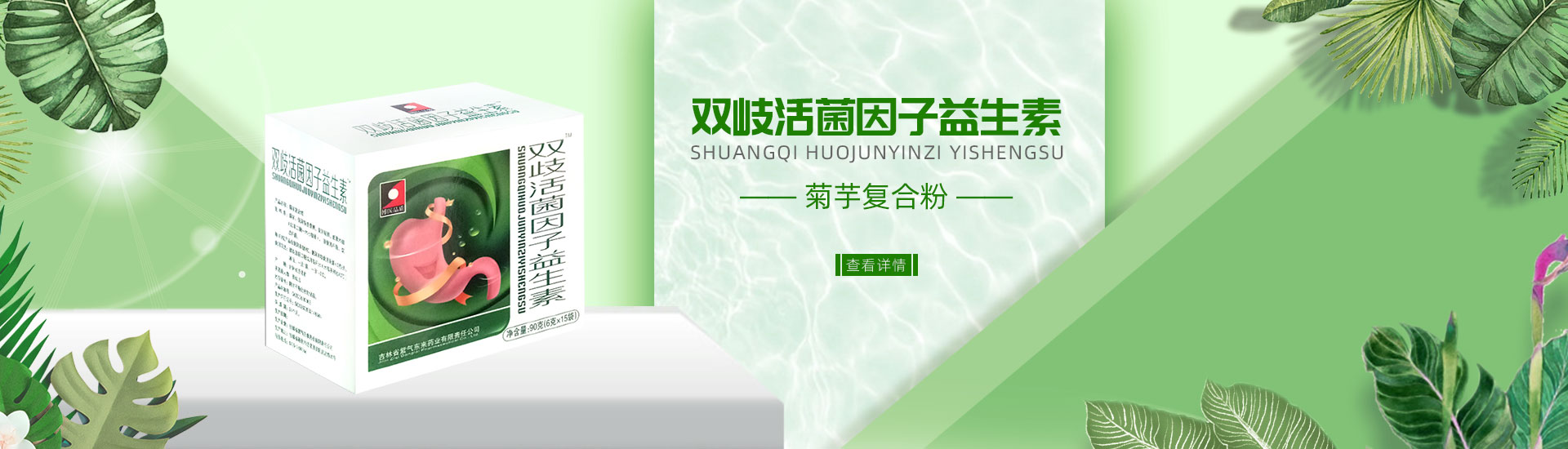 双歧活菌因子益生素