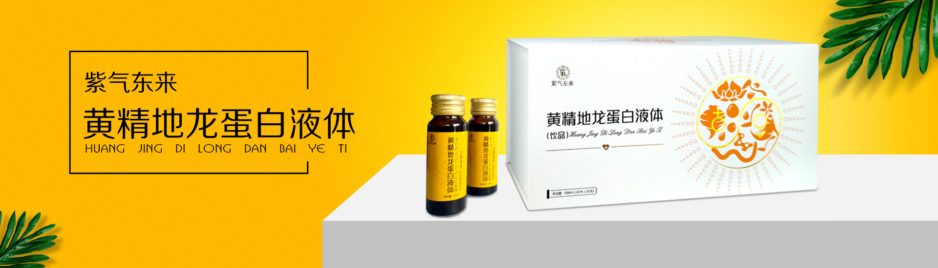  黄精地龙蛋白液体